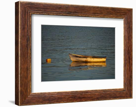 USA, Maine, Small Row Boat Anchored at Bar Harbor-Joanne Wells-Framed Photographic Print