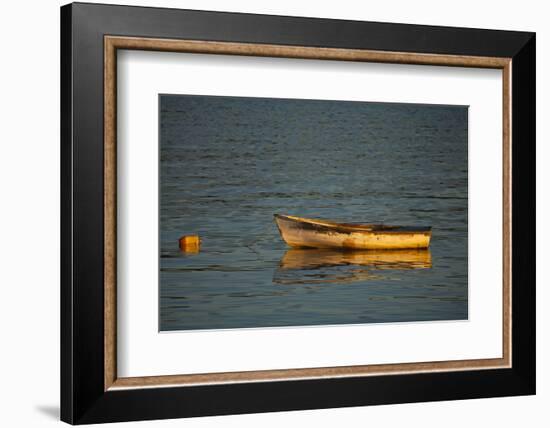 USA, Maine, Small Row Boat Anchored at Bar Harbor-Joanne Wells-Framed Photographic Print