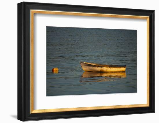 USA, Maine, Small Row Boat Anchored at Bar Harbor-Joanne Wells-Framed Photographic Print