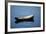 USA, Maine, Small Row Boat at Bass Harbor-Joanne Wells-Framed Photographic Print