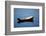 USA, Maine, Small Row Boat at Bass Harbor-Joanne Wells-Framed Photographic Print