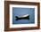 USA, Maine, Small Row Boat at Bass Harbor-Joanne Wells-Framed Photographic Print