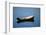 USA, Maine, Small Row Boat at Bass Harbor-Joanne Wells-Framed Photographic Print