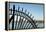 USA, Manhattan, Upper East Side. John Finley Walk along East River, iron grating in front of river-Alison Jones-Framed Premier Image Canvas