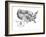 Usa Map-petra roeder-Framed Photographic Print
