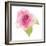 USA, Maryland, Bethesda, Pink Rose, Digitally Altered-Hollice Looney-Framed Photographic Print