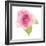 USA, Maryland, Bethesda, Pink Rose, Digitally Altered-Hollice Looney-Framed Photographic Print