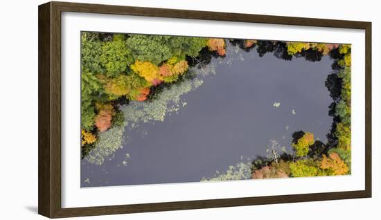 Usa, Massachusetts, Acton. Pond with fall foliage (aerial view).-Merrill Images-Framed Photographic Print