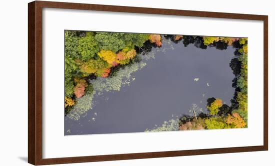 Usa, Massachusetts, Acton. Pond with fall foliage (aerial view).-Merrill Images-Framed Photographic Print