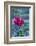 USA, Massachusetts, Cape Ann, Annisquam. Roses after first frost-Walter Bibikow-Framed Photographic Print