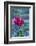 USA, Massachusetts, Cape Ann, Annisquam. Roses after first frost-Walter Bibikow-Framed Photographic Print