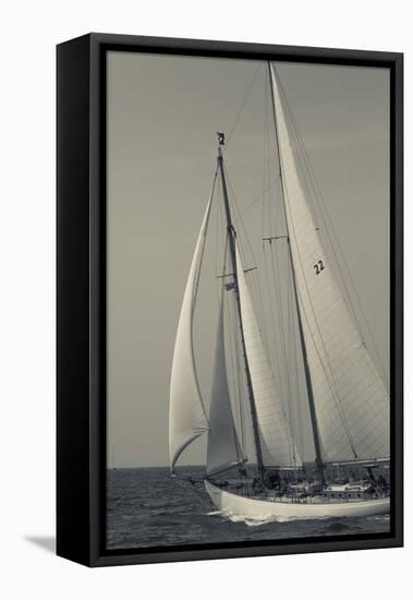 USA, Massachusetts, Cape Ann, Gloucester, America's Oldest Seaport, Annual Schooner Festival-Walter Bibikow-Framed Premier Image Canvas