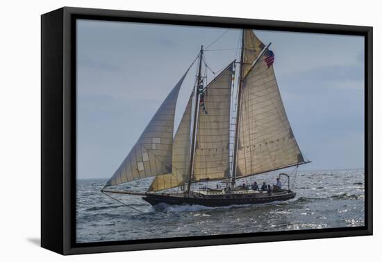 USA, Massachusetts, Cape Ann, Gloucester, America's Oldest Seaport, Annual Schooner Festival-Walter Bibikow-Framed Premier Image Canvas