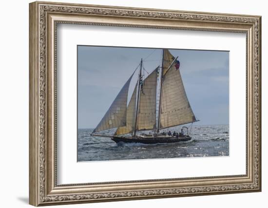 USA, Massachusetts, Cape Ann, Gloucester, America's Oldest Seaport, Annual Schooner Festival-Walter Bibikow-Framed Photographic Print