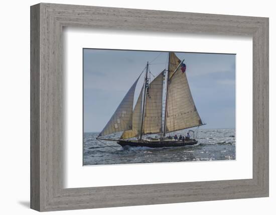 USA, Massachusetts, Cape Ann, Gloucester, America's Oldest Seaport, Annual Schooner Festival-Walter Bibikow-Framed Photographic Print