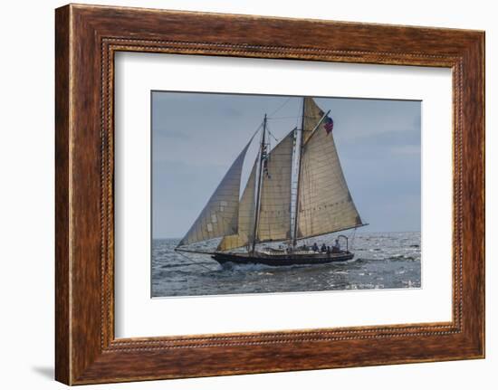 USA, Massachusetts, Cape Ann, Gloucester, America's Oldest Seaport, Annual Schooner Festival-Walter Bibikow-Framed Photographic Print