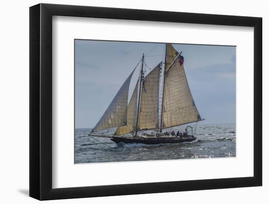 USA, Massachusetts, Cape Ann, Gloucester, America's Oldest Seaport, Annual Schooner Festival-Walter Bibikow-Framed Photographic Print