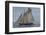 USA, Massachusetts, Cape Ann, Gloucester, America's Oldest Seaport, Annual Schooner Festival-Walter Bibikow-Framed Photographic Print