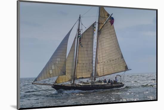 USA, Massachusetts, Cape Ann, Gloucester, America's Oldest Seaport, Annual Schooner Festival-Walter Bibikow-Mounted Photographic Print