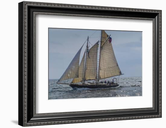 USA, Massachusetts, Cape Ann, Gloucester, America's Oldest Seaport, Annual Schooner Festival-Walter Bibikow-Framed Photographic Print