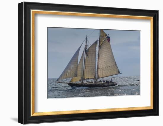 USA, Massachusetts, Cape Ann, Gloucester, America's Oldest Seaport, Annual Schooner Festival-Walter Bibikow-Framed Photographic Print