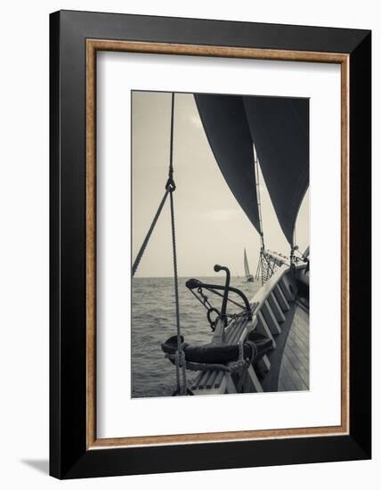 USA, Massachusetts, Cape Ann, Gloucester, America's Oldest Seaport, Annual Schooner Festival-Walter Bibikow-Framed Photographic Print