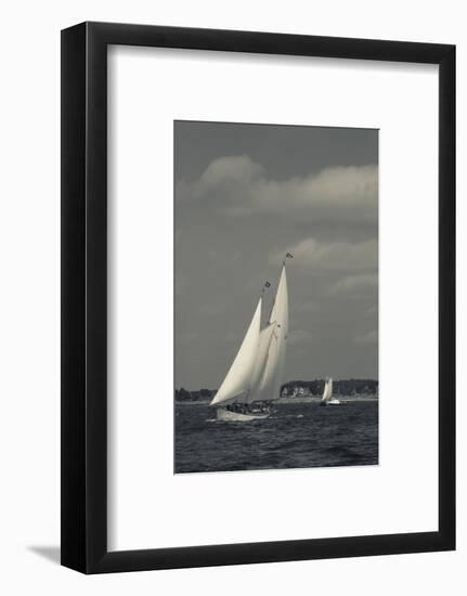 USA, Massachusetts, Cape Ann, Gloucester, America's Oldest Seaport, Annual Schooner Festival-Walter Bibikow-Framed Photographic Print