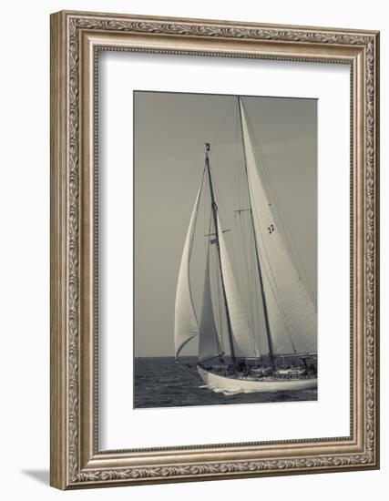USA, Massachusetts, Cape Ann, Gloucester, America's Oldest Seaport, Annual Schooner Festival-Walter Bibikow-Framed Photographic Print