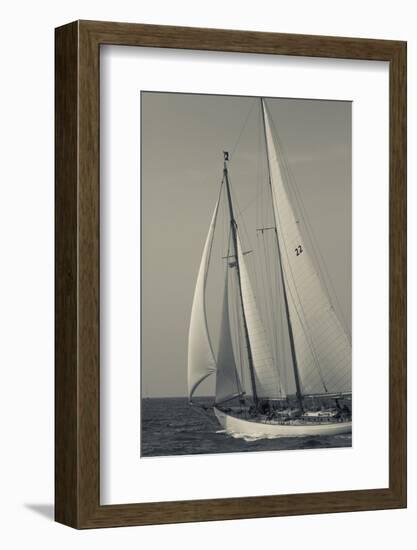 USA, Massachusetts, Cape Ann, Gloucester, America's Oldest Seaport, Annual Schooner Festival-Walter Bibikow-Framed Photographic Print