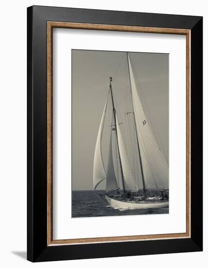 USA, Massachusetts, Cape Ann, Gloucester, America's Oldest Seaport, Annual Schooner Festival-Walter Bibikow-Framed Photographic Print