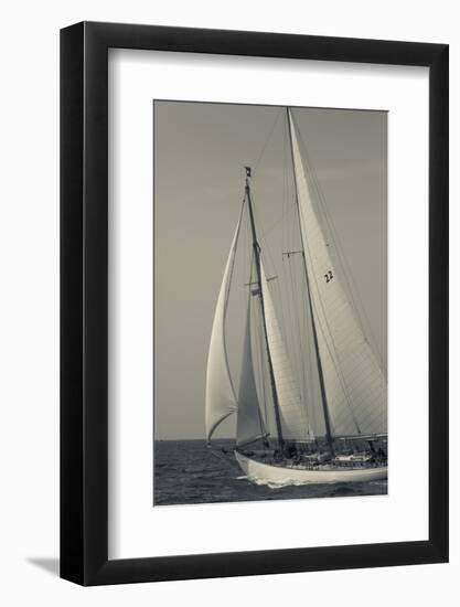 USA, Massachusetts, Cape Ann, Gloucester, America's Oldest Seaport, Annual Schooner Festival-Walter Bibikow-Framed Photographic Print