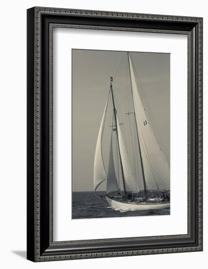 USA, Massachusetts, Cape Ann, Gloucester, America's Oldest Seaport, Annual Schooner Festival-Walter Bibikow-Framed Photographic Print