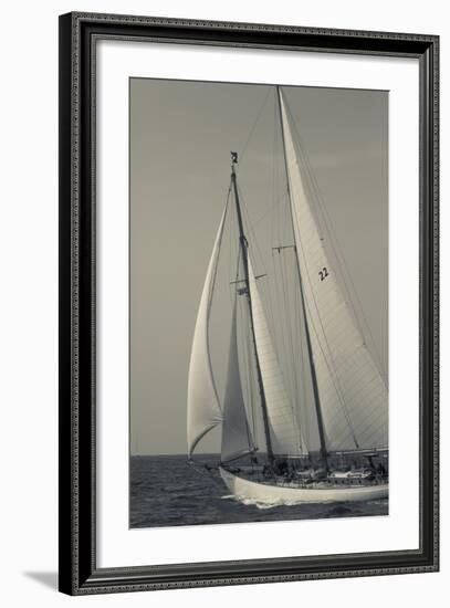 USA, Massachusetts, Cape Ann, Gloucester, America's Oldest Seaport, Annual Schooner Festival-Walter Bibikow-Framed Photographic Print