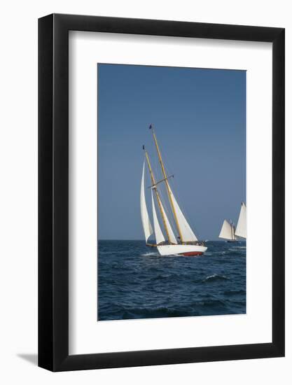 USA, Massachusetts, Cape Ann, Gloucester, America's Oldest Seaport, Annual Schooner Festival-Walter Bibikow-Framed Photographic Print