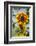 USA, Massachusetts, Cape Ann, Gloucester, Annisquam, Sunflowers-Walter Bibikow-Framed Photographic Print