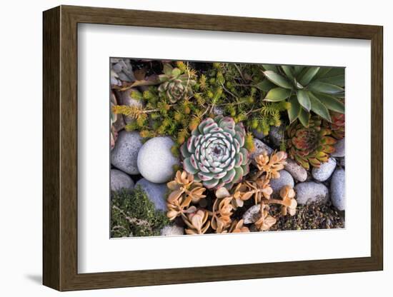 USA, Massachusetts, Cape Ann, Gloucester, Fall Plantings-Walter Bibikow-Framed Photographic Print