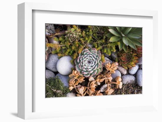 USA, Massachusetts, Cape Ann, Gloucester, Fall Plantings-Walter Bibikow-Framed Photographic Print