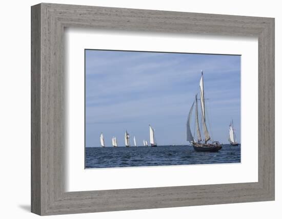 USA, Massachusetts, Cape Ann, Gloucester. Gloucester Schooner Festival, schooner parade of sail.-Walter Bibikow-Framed Photographic Print