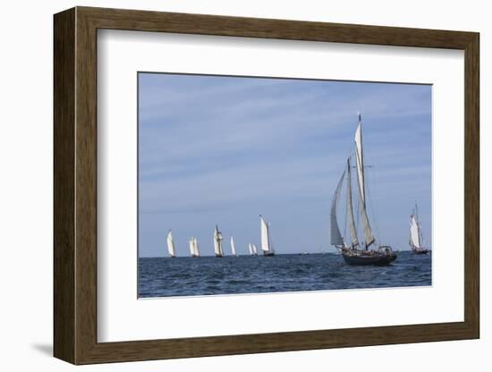 USA, Massachusetts, Cape Ann, Gloucester. Gloucester Schooner Festival, schooner parade of sail.-Walter Bibikow-Framed Photographic Print