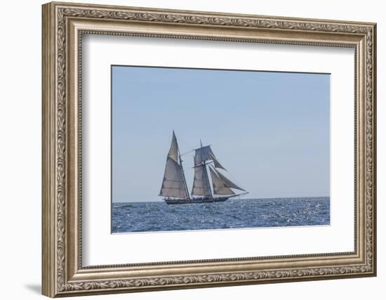 USA, Massachusetts, Cape Ann, Gloucester. Gloucester Schooner Festival, schooner parade of sail.-Walter Bibikow-Framed Photographic Print