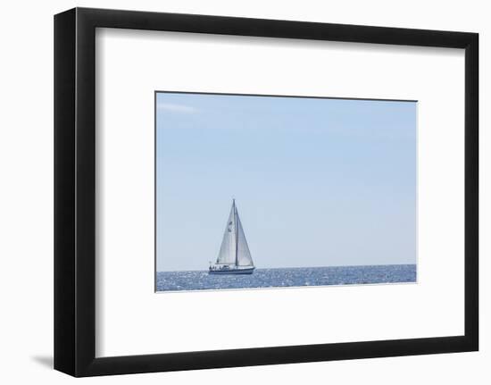 USA, Massachusetts, Cape Ann, Gloucester. Gloucester Schooner Festival, schooner parade of sail.-Walter Bibikow-Framed Photographic Print