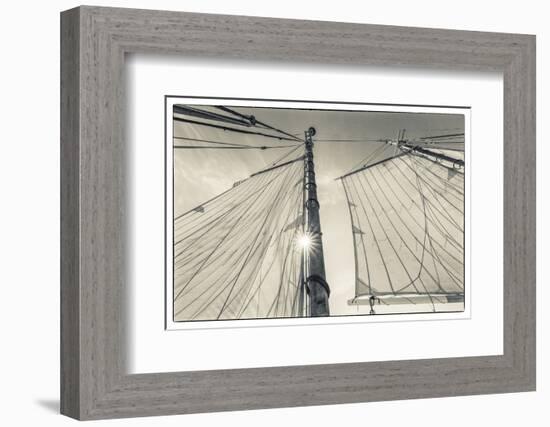 USA, Massachusetts, Cape Ann, Gloucester. Gloucester Schooner Festival, schooner sails-Walter Bibikow-Framed Photographic Print