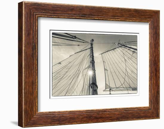 USA, Massachusetts, Cape Ann, Gloucester. Gloucester Schooner Festival, schooner sails-Walter Bibikow-Framed Photographic Print