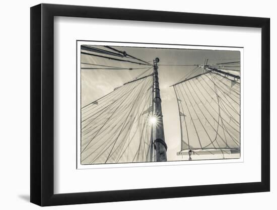 USA, Massachusetts, Cape Ann, Gloucester. Gloucester Schooner Festival, schooner sails-Walter Bibikow-Framed Photographic Print