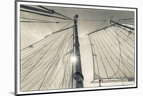 USA, Massachusetts, Cape Ann, Gloucester. Gloucester Schooner Festival, schooner sails-Walter Bibikow-Mounted Photographic Print