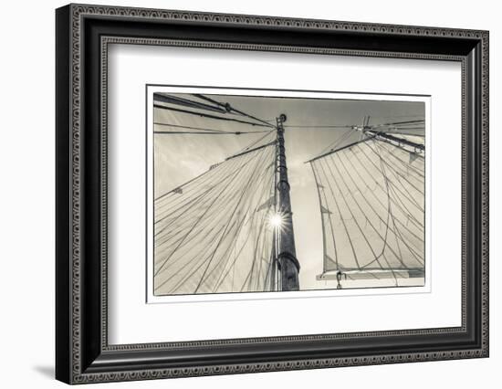USA, Massachusetts, Cape Ann, Gloucester. Gloucester Schooner Festival, schooner sails-Walter Bibikow-Framed Photographic Print