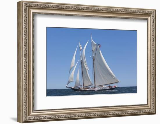 USA, Massachusetts, Cape Ann, Gloucester, schooner sailing ships-Walter Bibikow-Framed Photographic Print