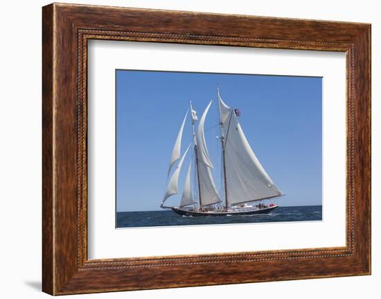 USA, Massachusetts, Cape Ann, Gloucester, schooner sailing ships-Walter Bibikow-Framed Photographic Print