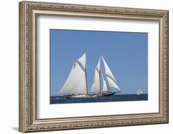 USA, Massachusetts, Cape Ann, Gloucester, schooner sailing ships-Walter Bibikow-Framed Photographic Print