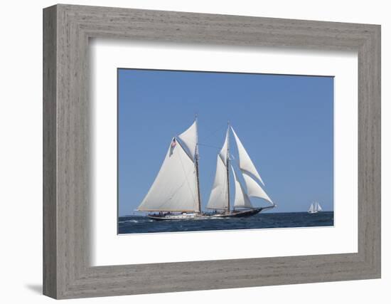 USA, Massachusetts, Cape Ann, Gloucester, schooner sailing ships-Walter Bibikow-Framed Photographic Print